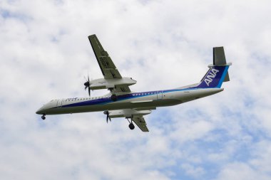 Itami Havaalanı'na inen yolcu uçağı 