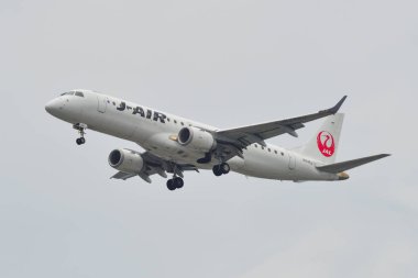 Itami Havaalanı'na inen yolcu uçağı 