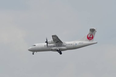 Itami Havaalanı'na inen yolcu uçağı 