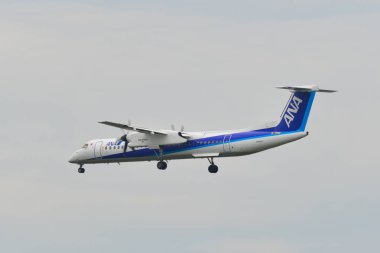 Itami Havaalanı'na inen yolcu uçağı 