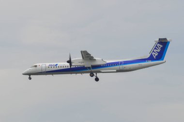 Itami Havaalanı'na inen yolcu uçağı 