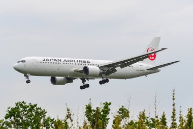 Itami Havaalanı'na inen yolcu uçağı 