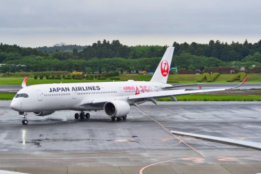 Havaalanındaki yolcu uçağı. 