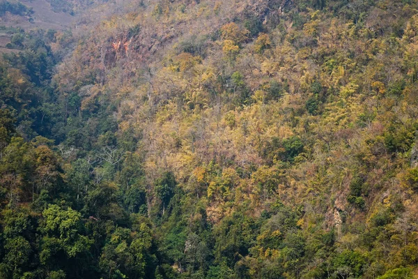 Vue aérienne d'une forêt verte au Myanmar — Photo