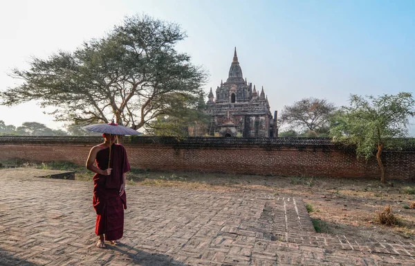 Mladý mnich stojící v buddhistické pagodu — Stock fotografie