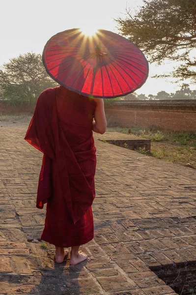 En ung munk stående på Buddhist Pagoda — Stockfoto