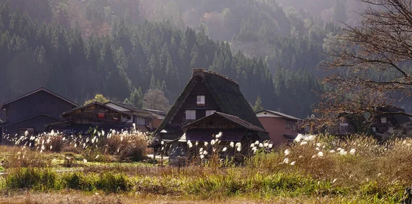 Houten huisjes in historische dorpjes Shirakawa-go — Stockfoto