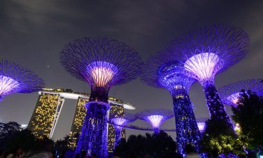 Singapur'da gece Supertree Grove 