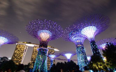Singapur'da gece Supertree Grove 