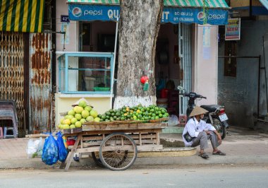 Mekong Deltası kırsal yol, Vietnam 