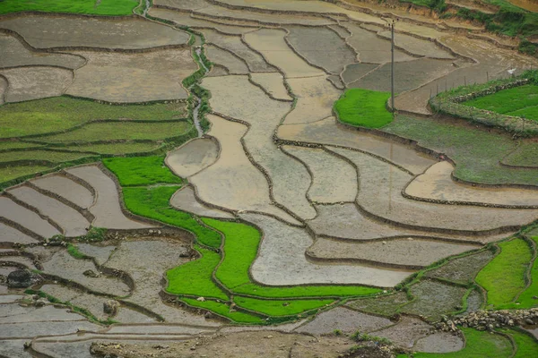 Terrain de riz en terrasses dans le nord du Vietnam — Photo