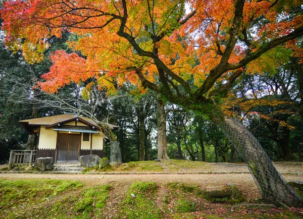 Podzimní scenérie v japonské zahradě — Stock fotografie