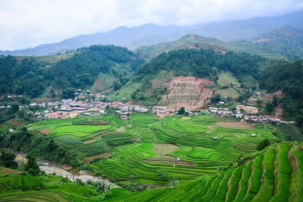 Reisterrassenfeld in Nordvietnam — Stockfoto