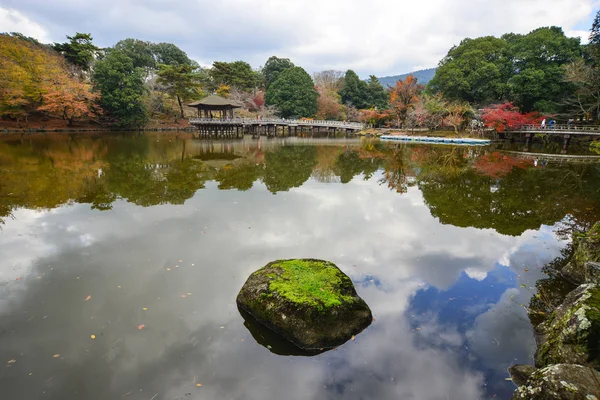 Höstlandskap i japansk trädgård — Stockfoto