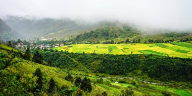 Bhutan'daki dağ manzarası 
