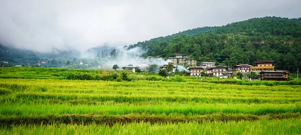 Terraced farmland with paddy field in Bhutan — Stock Photo, Image