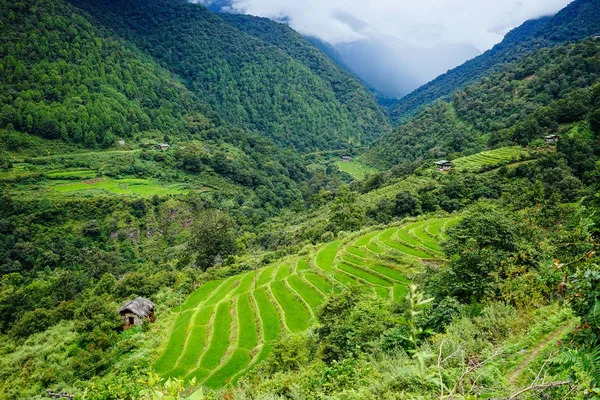 Berglandschaft in Bhutan — Stockfoto