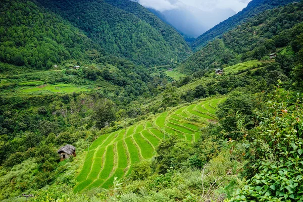 Paesaggio di montagna in Kingdoom del Bhutan — Foto Stock