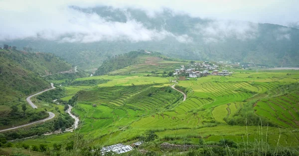 Reisfeld im Dorf Sopsokha in Bhutan — Stockfoto