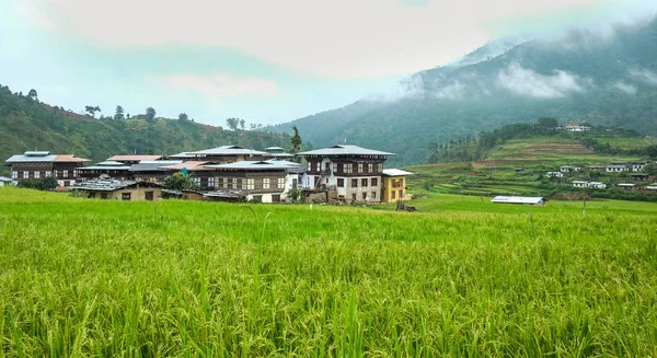 Reisfeld im Dorf Sopsokha in Bhutan — Stockfoto