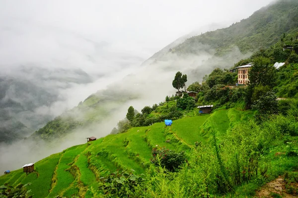 Bhutan'daki dağ manzarası 