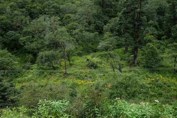 Paysage de montagne de Thimphu, Bhoutan — Photo