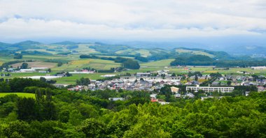 Yaz günü güzel kırsal manzara 