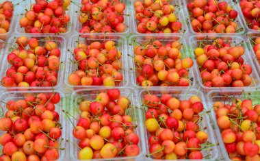 Taze tatlı kiraz ile Vitrin