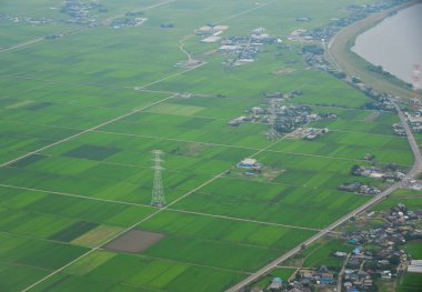 Yaz günlerinde kırsal manzara üzerinde uçan 