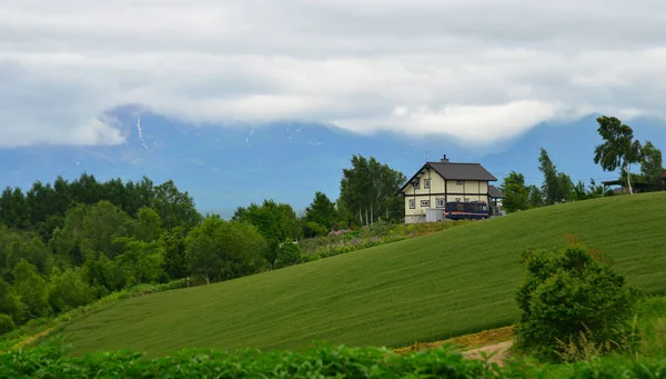 Beau paysage rural au jour d'été — Photo