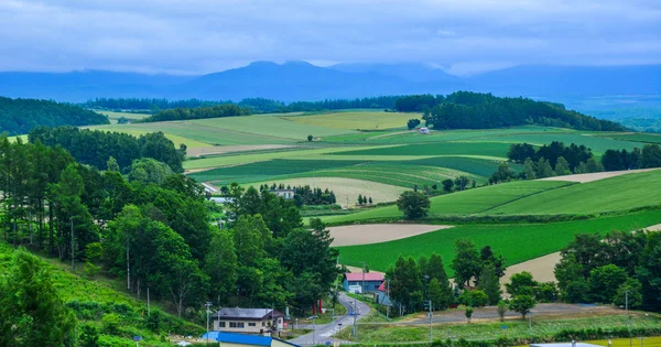 Schöne ländliche Landschaft an Sommertagen — Stockfoto