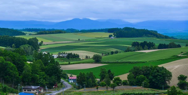 Beau paysage rural au jour d'été — Photo