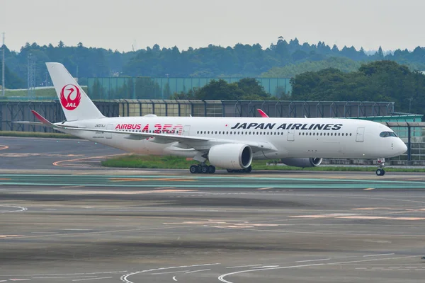 Tokyo Narita Havalimanı 'nda yolcu uçağı 