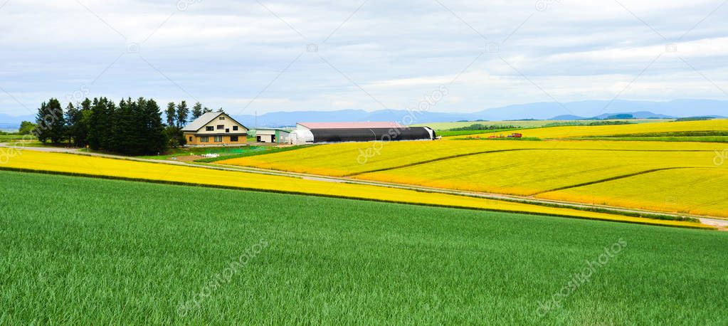Beautiful rural scenery at summer day 