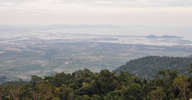 Kampot, Kamboçya'daki Bokor Tepesi'ndeki orman manzarası 