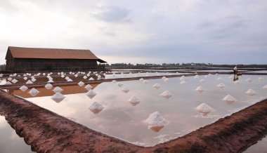 Salt field in Kampot, Cambodia clipart