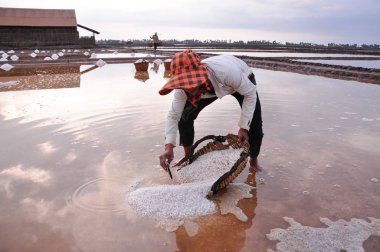 Kampot tuz tarlası, Kamboçya