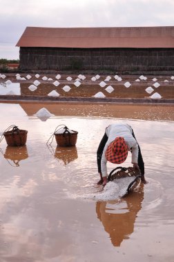 Kampot tuz tarlası, Kamboçya