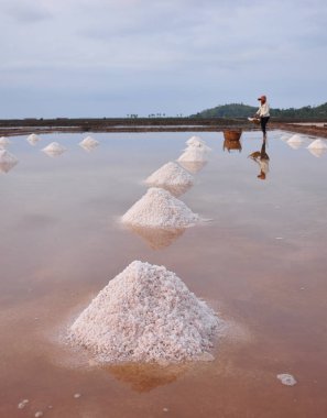 Kampot tuz tarlası, Kamboçya