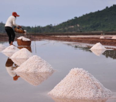 Kampot tuz tarlası, Kamboçya