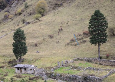 Sichuan yüksek dağlarda görünümünü