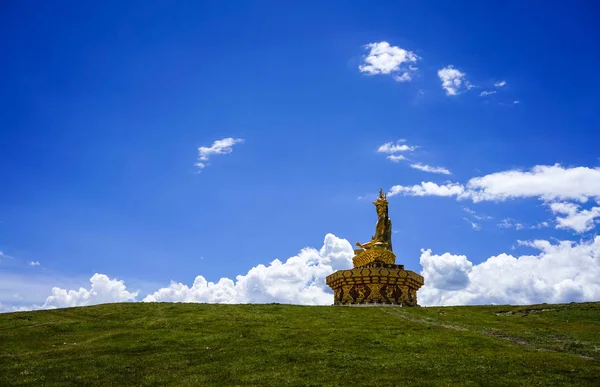 Velký Buddha na travním kopci v Yarchen Gar — Stock fotografie