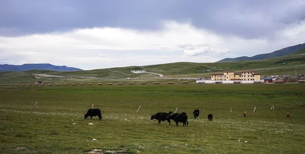 Paisajes de montaña en Kham Tibetan, Sichuan, China —  Fotos de Stock