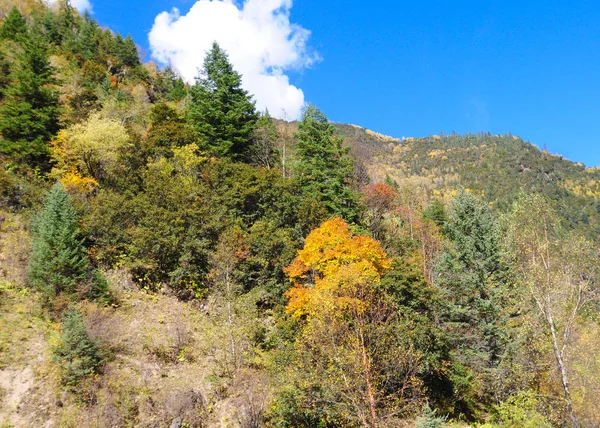 四川省の高山のビュー — ストック写真