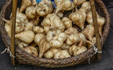 Taze Pachyrhizus erosus yığını 