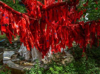 Ağaç üzerinde dekorasyon için kırmızı şanslı şeritler