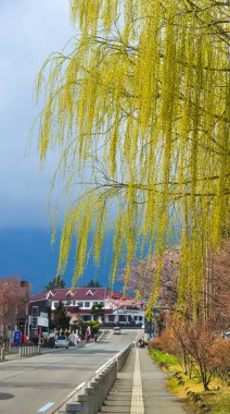 Cityscape of Kawaguchiko, Japonya 