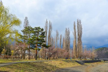 Kawaguchiko Lakeside parkı, Japonya 