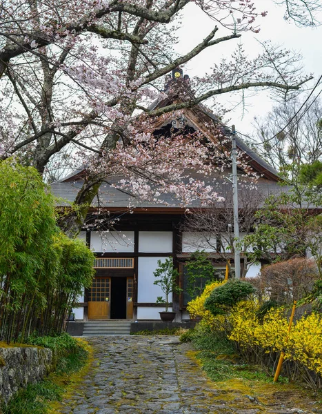 Antiguo templo con flor de cerezo — Foto de Stock