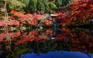 Sonbahar sahne Kyoto, Japonya 
